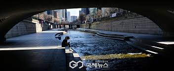 피아스트리 아이콘