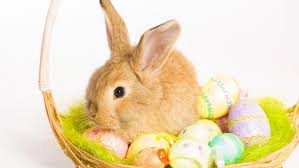 ouvert fermé paques - Trending in Canada