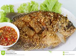 Image result for Tilapia Fish