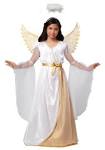 Girls angel costumes