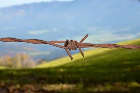 Rezultat iskanja slik za ljubljana bodeča žica