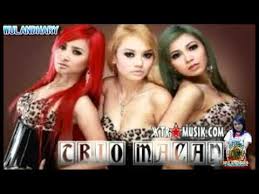 Hasil gambar untuk foto hot trio macan