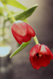 ���� ���� ������ �� ���� ������