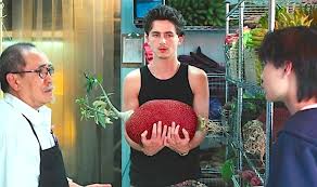 Timothée Chalamet Stars in Cash App Ad Featuring Vegan Jackfruit, Fuels Debate on Modern Payments