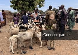 Licensable picture: Markets of Nasarawa crowded ahead of Eid al-Adha in Nigeria