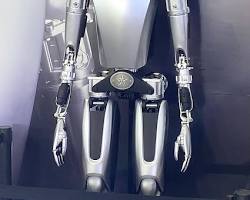 Image of Tesla Optimus robot