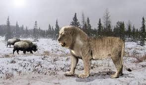 Image result for ehsq nagarjuna group