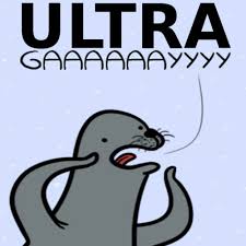 images?q=tbn:ANd9GcTGYUNOX79y_iRhVqh1gAzuZZjO5_x35mB0fwQXIEu-kX_a_qlj