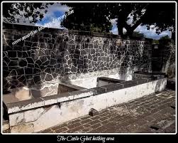 Image result for MAURITIUS INDENTURED INDIANS