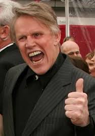 ... Judy Helkenberg, and another son, Luke Sampson Busey, who was born in 2010 to his girlfriend, Steffanie Sampson. Gary Busey files for Bankruptcy - gary-busey-210x300