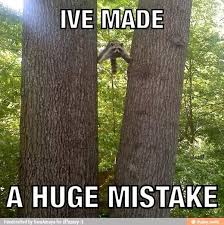 Image result for funny animal fails