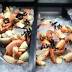What will this year's stone crab season bring? It's complicated