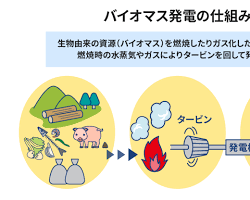 バイオマス発電の画像