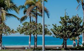 Alertan de oleaje elevado en Puerto Vallarta; este es el pronóstico del clima HOY 21 de julio