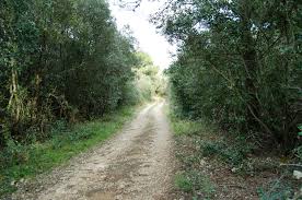 Image result for ancient bikes