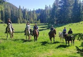 Ain. Le président de l’Ain à cheval : « Le tourisme équestre est un atout pour le département »