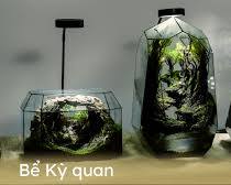 Hình ảnh về Một nghệ nhân đang tỉ mỉ tạo hình và trang trí terrarium