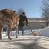Lexington residents get unexpected help clearing roads