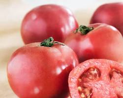 Image of Arkansas Traveler tomato