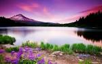 The Beauty Scenery of Nature with Relaxing Music -