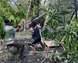 Old Florida Lee County roadside attraction sees new life after Hurricane Ian