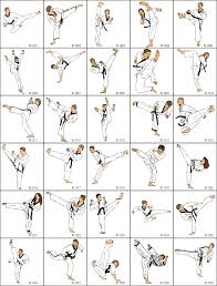 Image result for macam macam tendangan karate