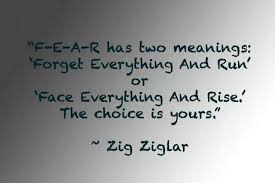 Fear quote Zig Ziglar | volleyball | Pinterest | Zig Ziglar, Fear ... via Relatably.com
