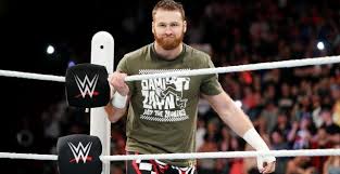 نتيجة بحث الصور عن ‪Sami Zayn 2015‬‏
