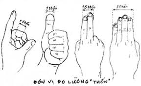 Image result for huyệt cơ Môn