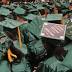 This N.J. community college could win $1M