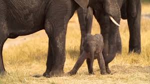 He ran straight to her. Tiny steps, big heart — rushing into ...