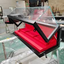 Wall-Mounted Hydraulic Hinge Museum Display Case - Built-in ...