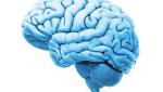  Major Psychiatric Disorders Have More In Common Than We Thought, Study Finds