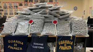 Carico di droga sequestrato al porto di Civitavecchia, Frida in azione: nascosta tra stoffe e prodotti