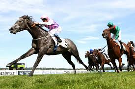 Résultat de recherche d'images pour "IMAGE D'HIPPODROME DE CHEVAUX DE COURSE"