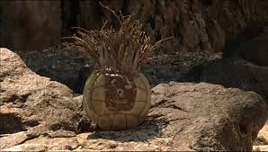 Image result for cast away wallpaper