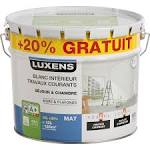 Peinture acrylique mur et plafond leroy merlin