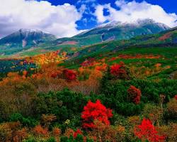 大雪山国立公園の紅葉の画像