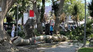 TRT Haber - News update