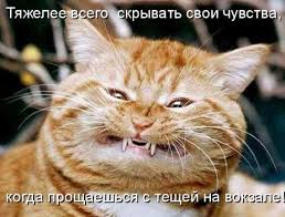 Image result for ���������� ���� ��������
