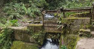 Celebra el Día de la Padre visitando los senderos ecológicos de Bogotá del 13 al 15 de junio ¡Agenda tu visita!