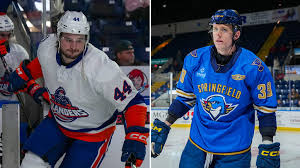 Blues, Islanders trade AHL forwards