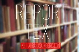 Hasil gambar untuk report text