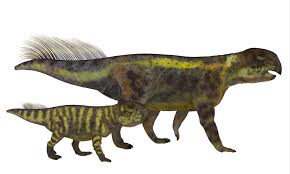 The 2ft Tall ‘Parrot Lizard’ From 100 Million Years Ago