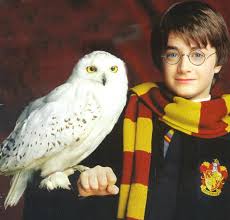 Résultat de recherche d'images pour "harry potter"