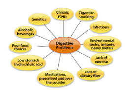 Food Sensitivities | Rebecca Bitzer &amp; Associates | via Relatably.com