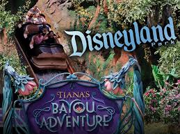 Another Kid Tries To Exit Disneyland's Tiana Ride Before 50-Foot Drop