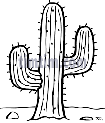 Résultat de recherche d'images pour "cactus coloring pages"