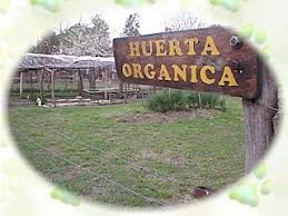 Resultado de imagen de huerta organica para niños