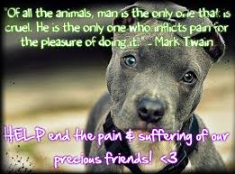 Stop Animal Cruelty Quotes. QuotesGram via Relatably.com